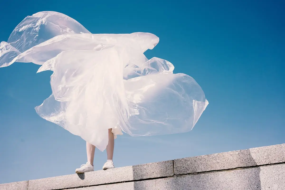 Designer fashion collection editorial